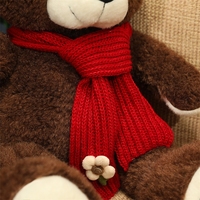 Oso personalizado Peluches San Valentín Peluche Osos de peluche Regalos para mujeres