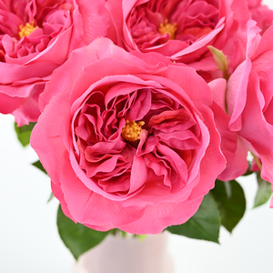 Rosa artificial realista de tacto de seda con sensación hidratante para juego de regalo romántico y arreglo de decoración de eventos corporativos <span class=keywords><strong>VIP</strong></span> - Product Image 2