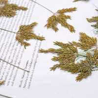 Fleurs de rizière pressées avec branches pour scrapbooking, résine époxy, fleurs naturelles écologiques, DIY