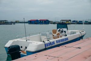 Motor Brogen de 30KW 40hP 154V, Gran Venta de Fábrica - Product Image 6