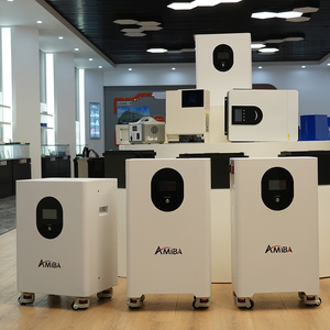 48v <span class=keywords><strong>300ah</strong></span> 600ah <span class=keywords><strong>lifepo4</strong></span> סוללה 15kwh 30kwh 30kwh אחסון אנרגיה ביתית רכוב 8000 קיר מחזורים 10 שנים אחריות על מערכת סולארית - Product Image 5