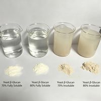 Poudre de Bêta-Glucane de Levure Hydrosoluble en Vrac, Extrait à 80% à Structure Triple Hélice, Soutien Immunitaire, Qualité Alimentaire, Conditionnement en Fût