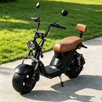 Trottinette Électrique 1000W en Gros, Batterie Lithium, Trottinette Électrique Intelligente à Deux Roues, Deux Places, Charge 200KG, Mobilité Urbaine pour Adultes