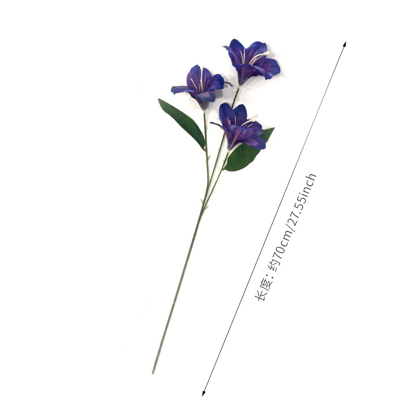 ทรีเดนท์ ลิลลี่