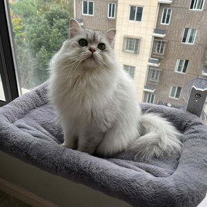 <span class=keywords><strong>Hamaca</strong></span> Para Gatos Ventana Gato Ventana Suave Moderna Extraíble Sunny Seat Window - Product Image 3