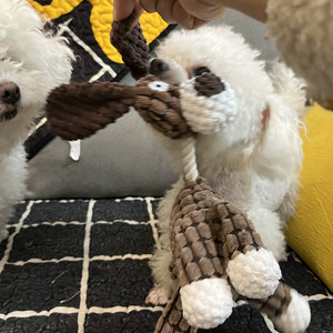 2026 fabrika toptan evcil hayvan ürünleri eşek köpek oyuncaklar şekil peluş köpek gıcırtılı oyuncak halat ile - Product Image 6