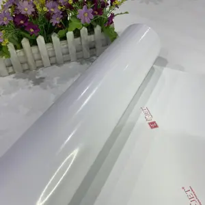 EJET Self Adhesive <strong>Vinyl</strong> in Guangzhou Transparent for Advertisement Printing 140g Roll Sheet Glossy Finish Transparent 90 Micron - Product Image 2