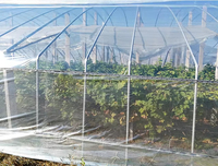Film PE pour serre résistant aux UV 200 microns, rouleau de bâche en polyéthylène agricole, couverture de tunnel, vente en gros pour fermes et pépinières