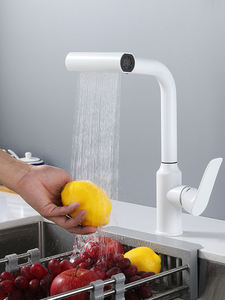 Keran dapur tarik ke luar, keran dapur fungsi ganda, hujan panas, keran wastafel bisa ditarik untuk rumah tangga, keran cuci sayuran - Product Image 2