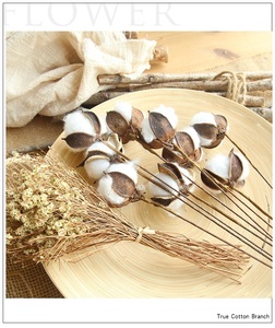 KEWEI 679 Hot Selling Artificial Dried <strong>Cotton</strong> Shell Flower Natural Dried <strong>Cotton</strong> Flower For Home Decoration - Product Image 4