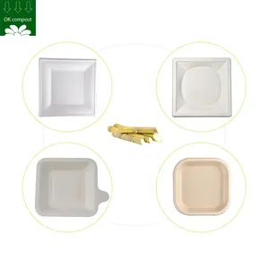 Custom Service Sugarcane Bagasse Compostable Disposable Square Plate 6" 7" 8" 9" 10" Inch Dish