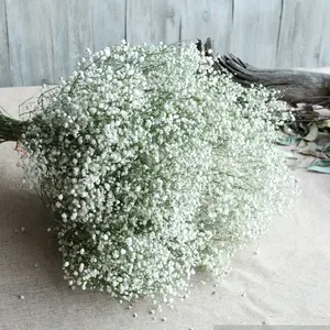 Bunga Diawetkan Baby Breath Gypsophilia untuk Rangkaian Bunga