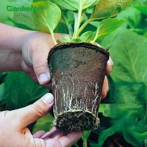 Set di 30 Vassoi per Semina Biodegradabili ed Ecologici, Accessori per Giardinaggio Domestico, per Piante, Fiori e Verdure - Product Image 6