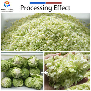 Machine de découpe, lavage et séchage de choux Fengxiang 2000 kg/h en acier inoxydable SUS304 – Ligne de traitement de légumes frais coupés - Product Image 2