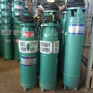 QSミニ水中ウォーターポンプ10hp 15hp農業用ハイヘッドフロー住宅用ライト商用垂直ステンレス鋼 - Product Image 2