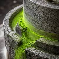 Poudre de Matcha KIKI biologique USDA, qualité cérémonielle, thé vert pur, antioxydant, superaliment pour la perte de poids, boisson détox saine, en vrac