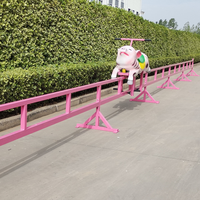 Équipement de parc d'attractions pour fermes et parcs de loisirs : Jeux de course à propulsion humaine, Course amusante tortue et lapin sur piste