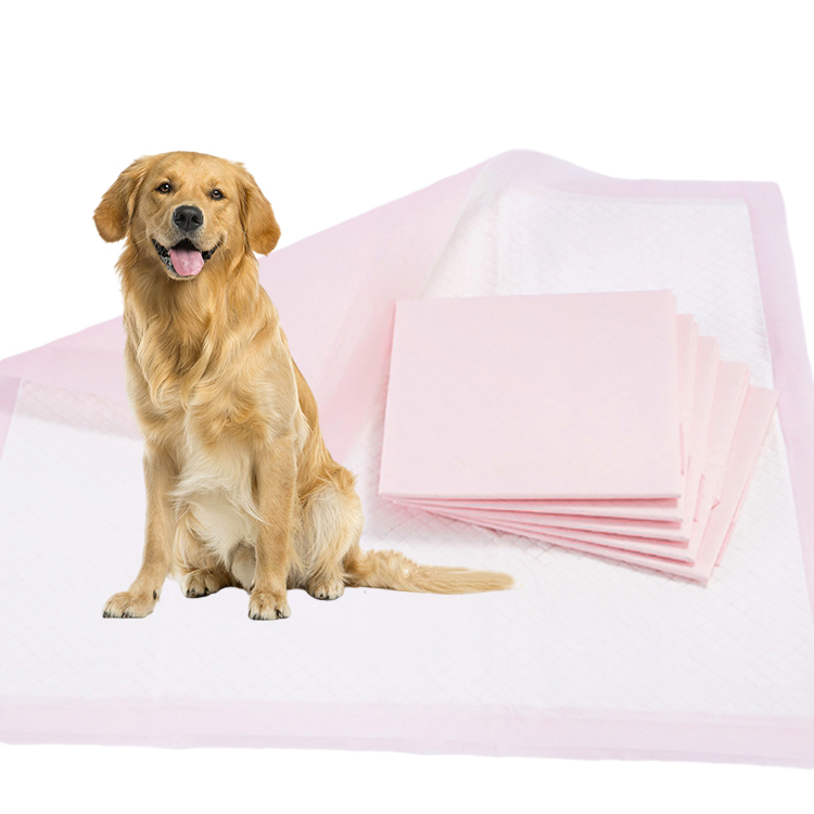 Empapadores súper absorbentes para mascotas, empapadores para perros cachorros, pañales para perros