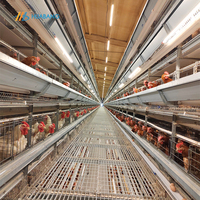 Cage à poules pondeuses entièrement automatique de type H avec plaque ZAM pour 1000 oiseaux, collecte des œufs, élimination du fumier, équipement d'élevage avicole