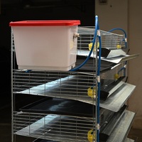 Système de cage à cailles à 6 niveaux pour usage commercial |   Cage à cailles en métal galvanisé haute capacité |   Équipement avicole professionnel