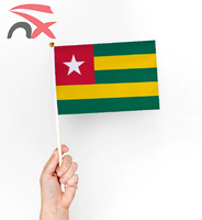 Drapeau à main personnalisé en polyester 14 * 21 cm du Togo avec mât en plastique de 30 cm