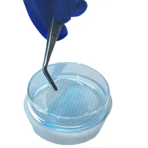 Membrane de filtration microporeuse stérile MCE pour analyses de laboratoire 47mm 50mm emballée individuellement