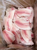 Chine Exportateur professionnel Tilapia Filet Filet de poisson Filet Tilapia Emballage individuel ou grand de haute qualité