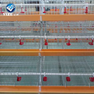 Poussins de chair d'un <span class=keywords><strong>jour</strong></span> de Chine à vendre en Afrique / Équipement d'élevage avicole pour poules pondeuses - Product Image 1