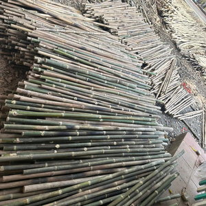 Poteaux en bambou naturel mince pour l'horticulture et le produit de matières premières de treillis végétal - Product Image 6