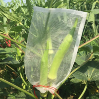 Serre bug couvrant jardin légume insecte écran filet plante couverture sac