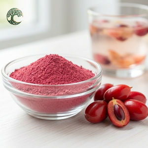 Extrait naturel de baie miracle <span class=keywords><strong>en</strong></span> <span class=keywords><strong>poudre</strong></span>, <span class=keywords><strong>poudre</strong></span> de fruit mystérieux Miraculin, qualité alimentaire 99%, extraction par solvant - Product Image 3
