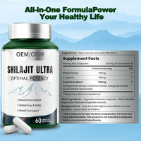 Capsules de Shilajit Pur de l'Himalaya, Marque Privée OEM ODM, Extrait Naturel GMP pour Adultes, Complément Énergétique et Soutien Immunitaire