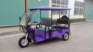<span class=keywords><strong>Precio</strong></span> bajo Street Legal Triciclos eléctricos 3 ruedas de carga eléctrica Rickshaw Potente adulto Ev Moto Triciclo para <span class=keywords><strong>taxi</strong></span> de pasajeros - Product Image 5