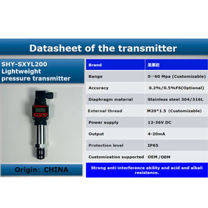 コンパクトなデジタル表示圧力トランスミッタ - Product Image 6