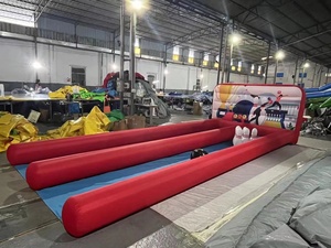 <span class=keywords><strong>Jeu</strong></span> <span class=keywords><strong>de</strong></span> bowling gonflable à double voie Offre Spéciale <span class=keywords><strong>de</strong></span> la meilleure qualité - Product Image 4