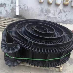 Sabuk Konveyor Dinding Samping Bergelombang Sabuk Konveyor Dinding Samping Bergelombang Sabuk Konveyor Kemiringan Tinggi - Product Image 6