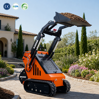 Euro 5 CE EPA Chine Fabricant Petite mini chargeuse compacte 900KG 1 tonne Mini chargeuse sur pneus à vendre Chargeuses antidérapantes Livraison rapide