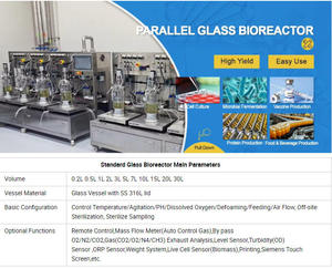Biorreattore Continuo Automatico in Vetro da 30L con Controllo PLC, Pompa e Controllo PH/Temperatura/Antischiuma per Fermentazione di Lieviti in Laboratorio su Piccola Scala - Product Image 5