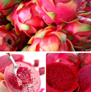 MD04 Fruta del Dragón Seca Orgánica <span class=keywords><strong>China</strong></span> en Rodajas, Proceso AD, Empaque a Granel, Sabor Dulce, Snacks de Alta Calidad - Product Image 4