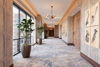 Premium Axm inster der Quintessenz britischer Teppich für Hotel Bankettsaal Korridor und Gästezimmer
