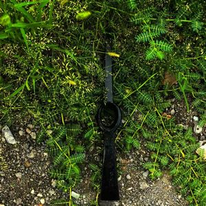 Custom OEM Gardening <strong>Pickaxe</strong> Farming Agriculture Industries Digging Tool with Wooden <strong>Handle</strong> - Product Image 3