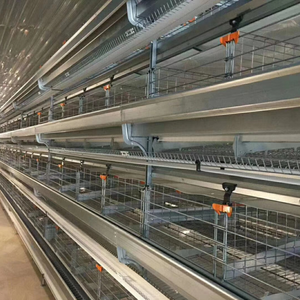 Bất ngờ giá hen lồng gà trang trại gà <span class=keywords><strong>rwanda</strong></span> gia cầm trang trại gà hai lớp lồng gà lồng - Product Image 5