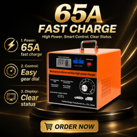 Chargeur de batterie de voiture personnalisable 12V/24V 65A avec réparation par impulsions