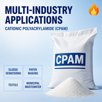 Agent de déshydratation des boues et aidant de rétention en polyacrylamide cationique pour la fabrication du papier Zhendong, poudre chimique de drainage, pureté 99%