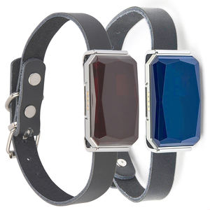 Best Selling G12P À Prova D' Água Pet GPS Tracker, Anti-perdido Cão Gato Animal GSM GPS Tracking Device Com Free APP/Web - Product Image 1