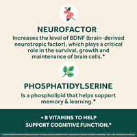 Complément alimentaire pour la santé du cerveau avec vitamines B6, B12, acide folique et phosphatidylsérine pour la vigilance mentale, la mémoire, la concentration et la clarté d'esprit