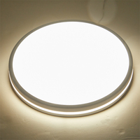 Plafonnier LED à triple l'épreuve de la lumière mystérieuse de couleur noire de grande taille pour l'usage de balcon