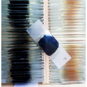 100% spécimens de roche de gomme d'épinette d'usine préparés pour l'enseignement <span class=keywords><strong>Microscope</strong></span> de <span class=keywords><strong>projection</strong></span> de lame de <span class=keywords><strong>microscope</strong></span> de recherche géologique - Product Image 5