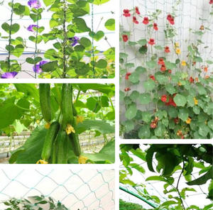 Venta Directa de Fábrica: Malla de Jardín de Alta Calidad con Borde Reforzado y Bloqueo Seguro - Product Image 3
