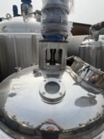 Agitateur de cuve de mélange, mélangeur cosmétique, machine de fabrication de lotion corporelle et de shampoing, en acier inoxydable industriel, automatique, pour produits chimiques, Nivel
